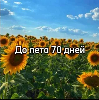 ☀️