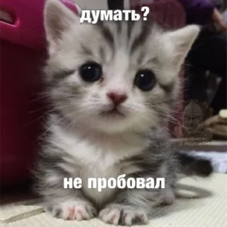 🙁
