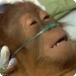 ⚰