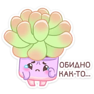 😢