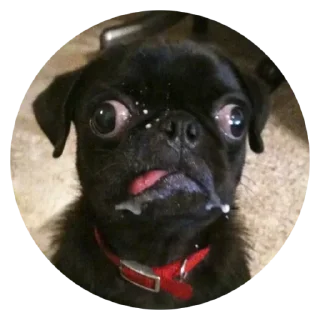 😨