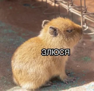 😒