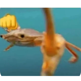 🍲