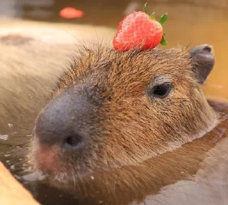 🍓