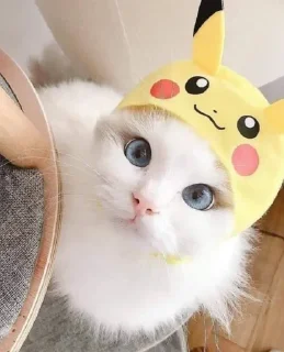 😍