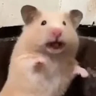 😦