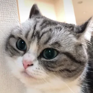😍