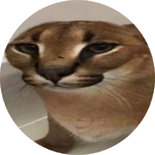 😐