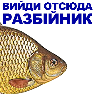 🐠