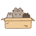 😸