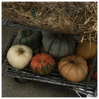 🎃