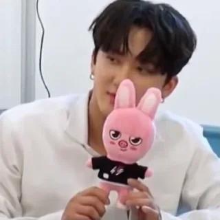 🐷