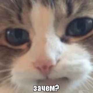🤨