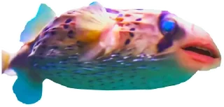 🐠