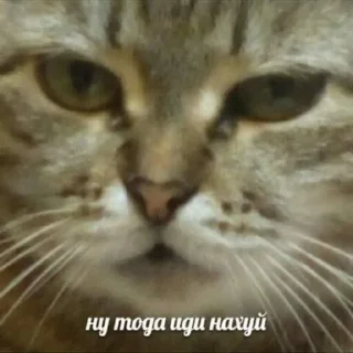 😐