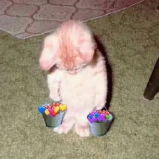 🥺