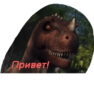 👏