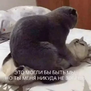 🔞