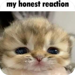 🫤