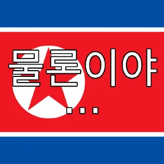 🇰🇵