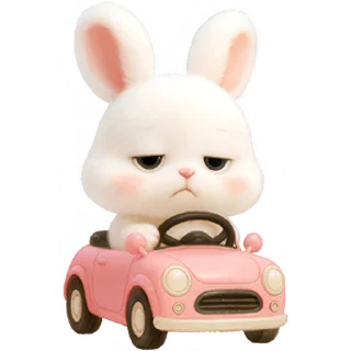 🚗