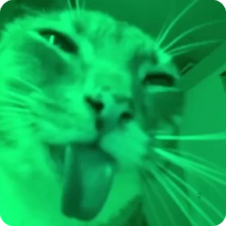 🍏