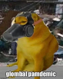 😷