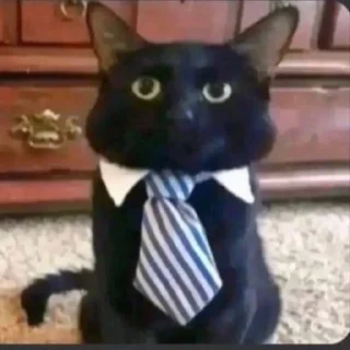 🤓