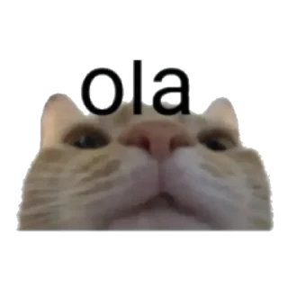 👋