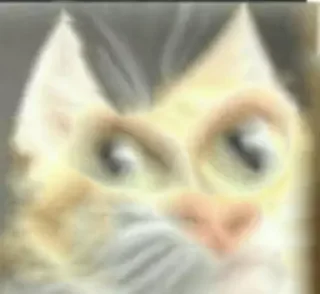 🤨