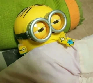 🛌