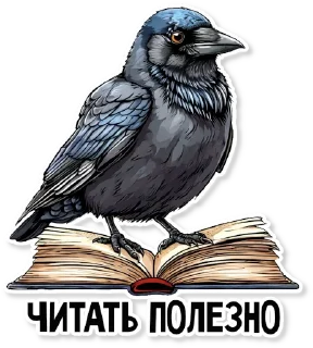 📔
