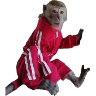 🏃‍♂️