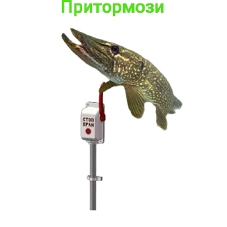 ⛔️