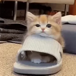 😉