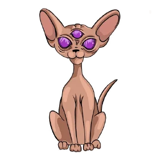 😺