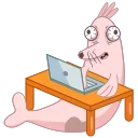 👩‍💻