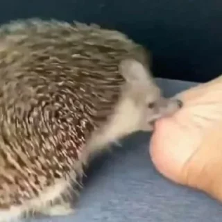 😠