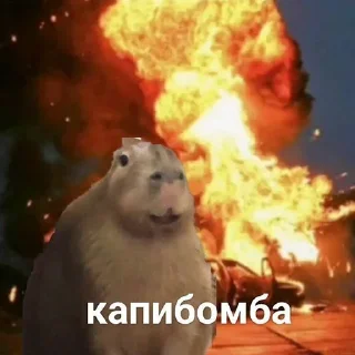 🥶