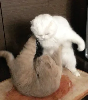 👊