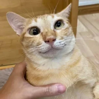 😛