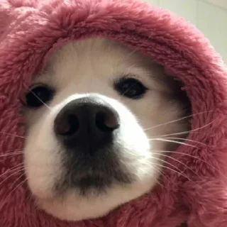 🤨