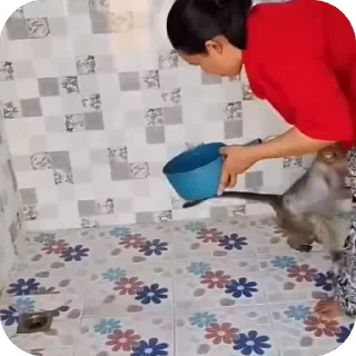 😤