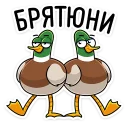 😏