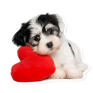 ❤