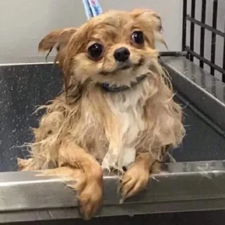 🛁