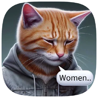 😼