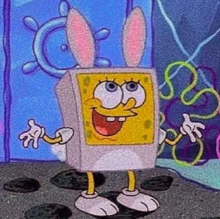 ✨