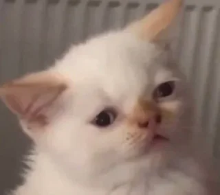 😔