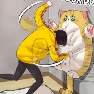 🥊